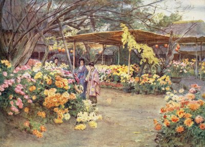 菊見、向島、東京 作： Walter Frederick Roofe Tyndale