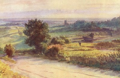 ウェセックスシャフツベリーからのブラックモア・ヴェイル（カラーリトグラフ） 作： Walter Frederick Roofe Tyndale