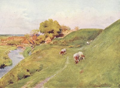 ウェセックスウェアハムの古い城壁（カラーリトグラフ） 作： Walter Frederick Roofe Tyndale