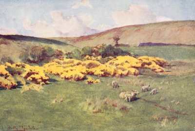 ウェセックスウェセックスの夏（カラーリトグラフ） 作： Walter Frederick Roofe Tyndale