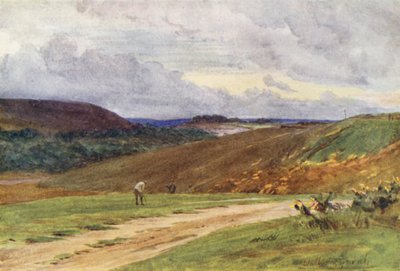 ウェセックスプール近郊のブロードストーン・ゴルフ・リンクス（カラーリトグラフ） 作： Walter Frederick Roofe Tyndale