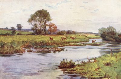 ウェセックスドーチェスターの上のフロム川、キャスターブリッジ（カラーリトグラフ） 作： Walter Frederick Roofe Tyndale