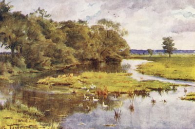 ウェセックスボッカンプトン橋からのフロム川（カラーリトグラフ） 作： Walter Frederick Roofe Tyndale