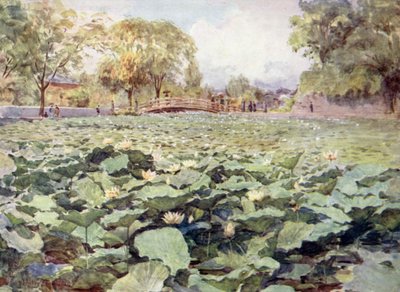 白蓮城堀甲府 作： Walter Frederick Roofe Tyndale