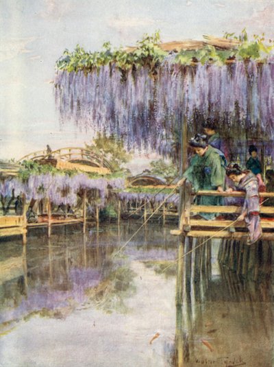 ウィスタリアと亀戸 作： Walter Frederick Roofe Tyndale