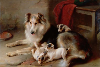 フォックステリアの子犬とコリー、1913 作： Walter Hunt