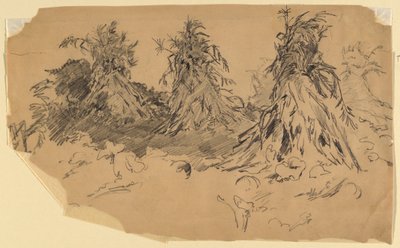 トウモロコシの茎 作： Walter Shirlaw