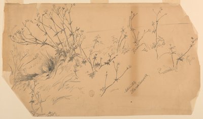 自然研究 作： Walter Shirlaw