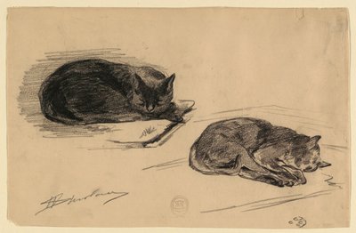 猫の研究 作： Walter Shirlaw