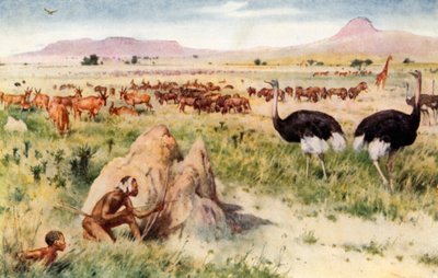 南アフリカの平原：白人の到来前 作： Walter Stanley Paget