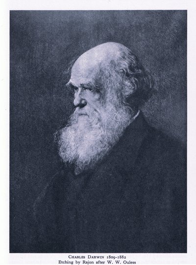 チャールズ・ダーウィンのエッチング「イギリスの自然」（コリンズ社刊 作： Walter William (after) Ouless