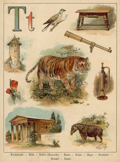 Letter T (chromolitho) 作： Walter Zweigle