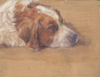 犬の頭 (研究) 作： Walther Gamerith
