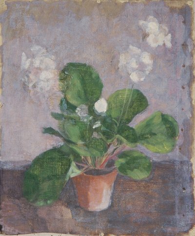 植木鉢のある静物 作： Walther Gamerith