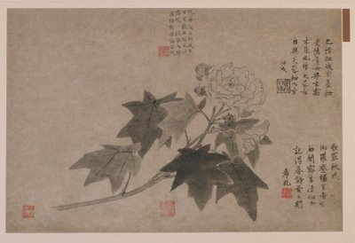 ハイビスカス、1347年 作： Wang Yuan