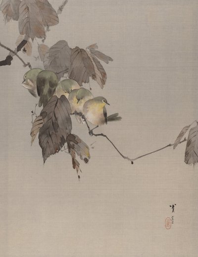 ブランチ上の鳥、ca。 1887。 作： Watanabe Seitei