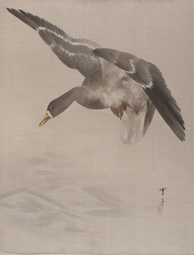 ダック、ca。 1887。 作： Watanabe Seitei