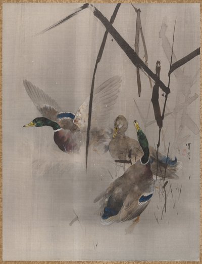 ラッシュのカモ、ca。 1887。 作： Watanabe Seitei