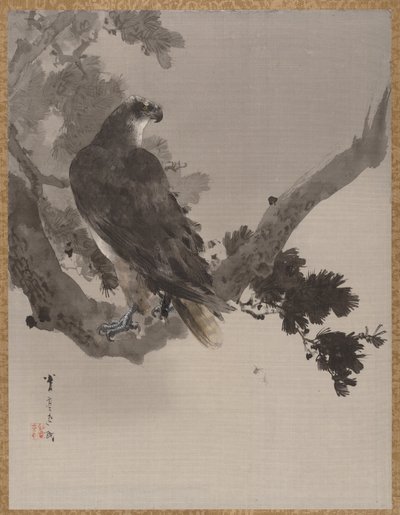 木のイーグル、ca。 1887。 作： Watanabe Seitei