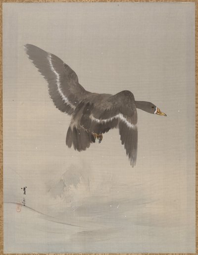 フライング グース 1887年。 作： Watanabe Seitei