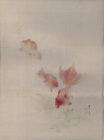 金魚、ca。 1887。 作： Watanabe Seitei