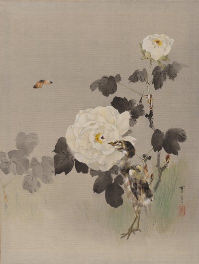 バラ、ヤングバード、バタフライ、ca。 1887。 作： Watanabe Seitei