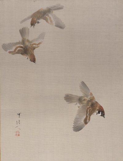 スズメの飛翔（1887年頃 作： Watanabe Seitei