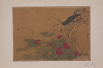 岩の上のグラスホッパー 15世紀 作： Wen Liang