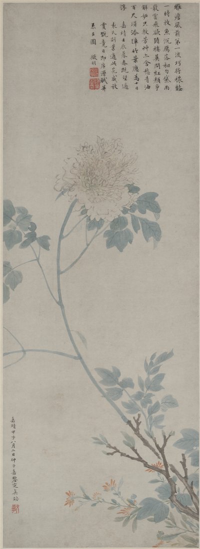 牡丹、掛け軸、1532（紙にインクと色） 作： Wen Zhengming