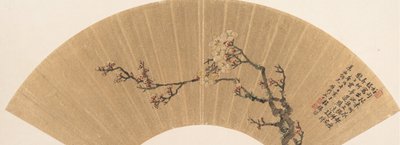 梅の花」（1670年）。 作： Wen Zhi