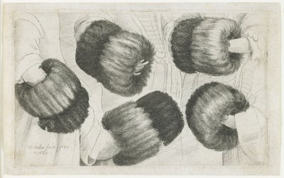 5つのビューのマフ、1645-1646 作： Wenceslaus Hollar