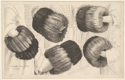 5つのビューのマフ、1645〜46。 作： Wenceslaus Hollar