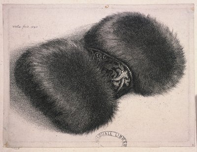 ブロケードのバンドが付いた大きなマフ、1647 作： Wenceslaus Hollar