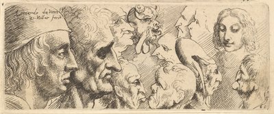 様々な頭、1625-77。 作： Wenceslaus Hollar