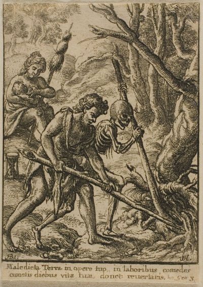 アダム・プラウイング 作： Wenceslaus Hollar