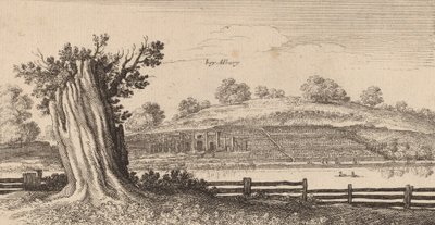 Albury, 1645年。 作： Wenceslaus Hollar