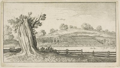 前景に木の切り株があるオルベリー 作： Wenceslaus Hollar
