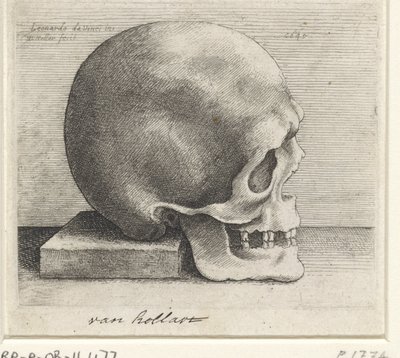 頭蓋骨の解剖学的研究 作： Wenceslaus Hollar