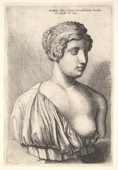女性のアンティークバスト、1645。 作： Wenceslaus Hollar