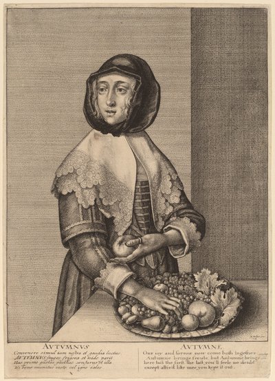 秋 作： Wenceslaus Hollar