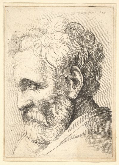 ひげを生やした老人、1645 作： Wenceslaus Hollar