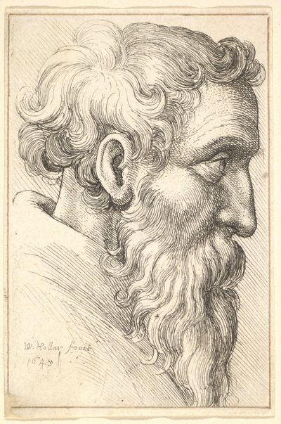 右側の横顔のひげを生やした老人、1645。 作： Wenceslaus Hollar