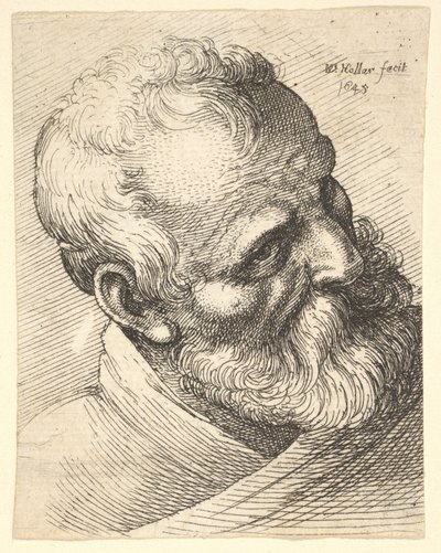 頭を傾けたひげを生やした老人、1645。 作： Wenceslaus Hollar