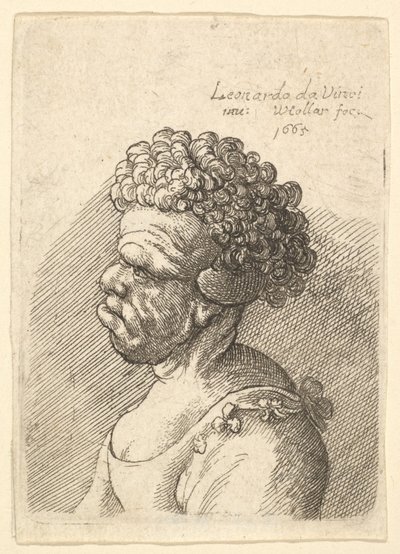 左の横顔に巻き毛を持つ奇形の女性の胸像、1665 年。 作： Wenceslaus Hollar