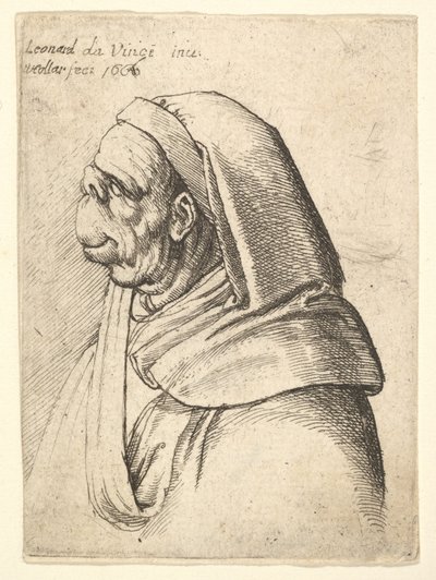 鼻が小さく、上唇が非常に高い男性の胸像、フード付き、プロファイル...、1666年。 作： Wenceslaus Hollar