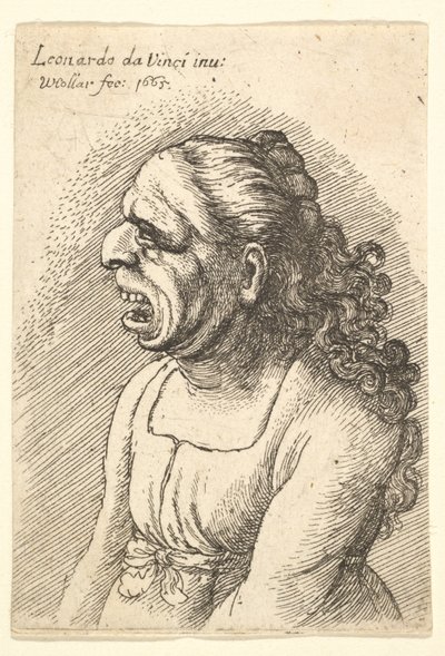 口が大きく開いた長い巻き毛の女性の胸像。肩から落ちて...、1665年。 作： Wenceslaus Hollar