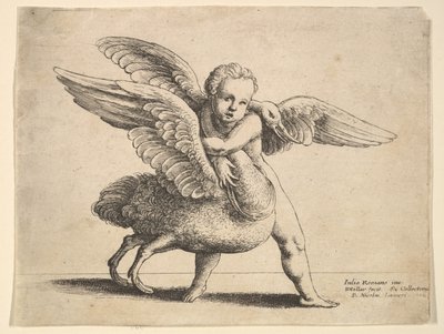 キューピッドと白鳥、1652年。 作： Wenceslaus Hollar