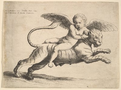 虎のキューピッド、1652年。 作： Wenceslaus Hollar