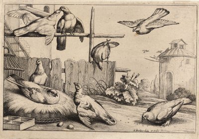 8つのハト状態1 作： Wenceslaus Hollar