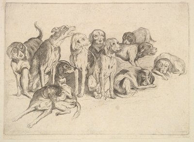 イレブンハウンド、1625-77。 作： Wenceslaus Hollar